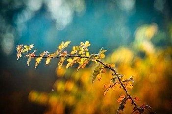易安企業(yè)團(tuán)體意外險(xiǎn)條款介紹，怎么樣？