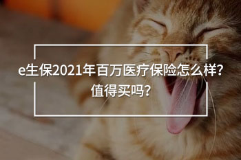 e生保2021年百萬醫(yī)療保險怎么樣？值得買嗎？