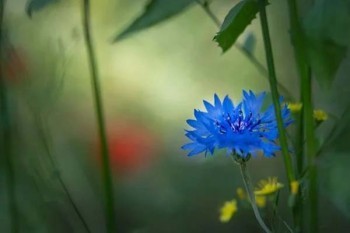 水滴百萬醫(yī)療險一年交多少錢？值得買嗎？