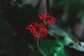陽光保險(xiǎn)百萬醫(yī)療是真的嗎？能買嗎？