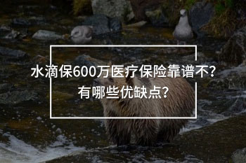 水滴保600萬醫(yī)療保險靠譜不？有哪些優(yōu)缺點？