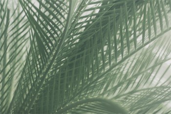 醫(yī)療保險如何參保
