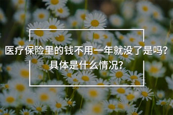 醫(yī)療保險(xiǎn)里的錢不用一年就沒了是嗎