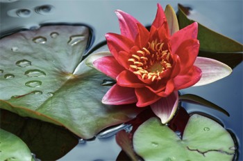 醫(yī)療保險(xiǎn)一年拿多少錢(qián)