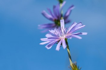 醫(yī)療保險(xiǎn)的錢不花是不是就沒了