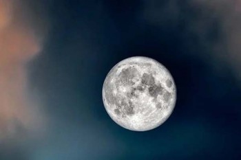 買了防癌險后悔了?太平全無憂終身防癌險怎么樣？