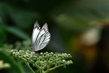 防癌保險(xiǎn)哪些不能保？防癌保險(xiǎn)有購買的必要嗎？