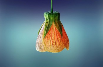 小醫(yī)療保險(xiǎn)一年多少錢