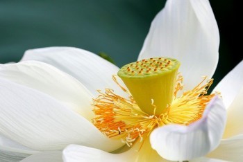 醫(yī)療保險(xiǎn)的錢能取出來嗎
