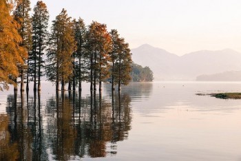 城鎮(zhèn)職工基本醫(yī)療保險(xiǎn)查詢