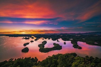 太平保險能全額退保么？退保能退多少保費？