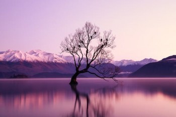 微信水滴保怎么申請退保？水滴?？孔V嗎？