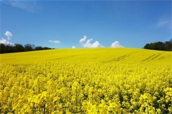 有哪些商業(yè)保險(xiǎn)產(chǎn)品？怎么買(mǎi)劃算？