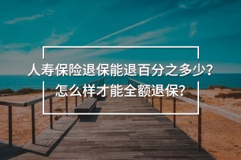 人壽保險(xiǎn)退保能退百分之多少