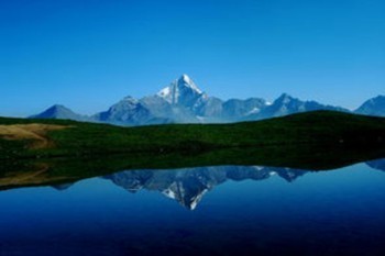 商業(yè)保險跟社保的區(qū)別是什么？哪個好？
