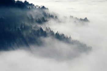 水滴保退保怎么辦理?費用何時返還?
