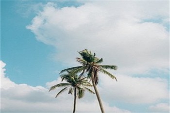 商業(yè)保險需要買嗎