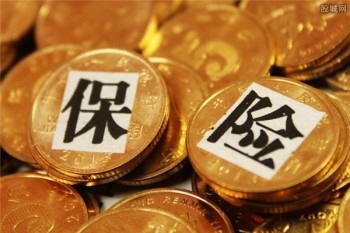 重疾險保費多少錢一年