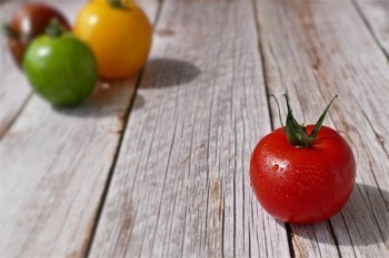 農(nóng)保怎么退保？有什么條件？
