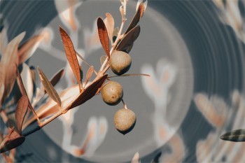 保險(xiǎn)多長(zhǎng)時(shí)間可以退保