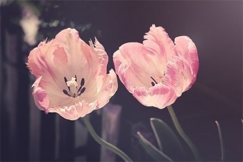 人壽退保險(xiǎn)怎么能全額退