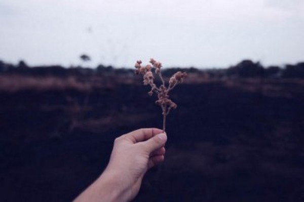 保險(xiǎn)不交了退保能退多少錢