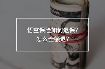 悟空保險如何退保