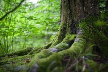 有了醫(yī)保還需要買(mǎi)商業(yè)保險(xiǎn)嗎？商業(yè)保險(xiǎn)有什么類型？