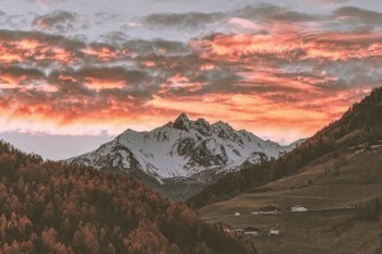 悟空保險(xiǎn)可以退保嗎