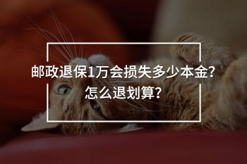 郵政退保1萬會損失多少本金
