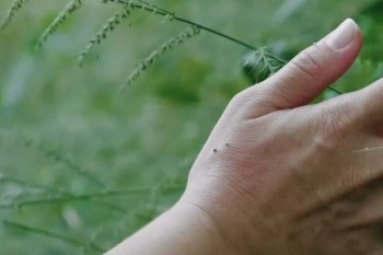 好醫(yī)保住院醫(yī)療報(bào)銷流程