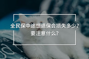全民保中途想退保會損失多少