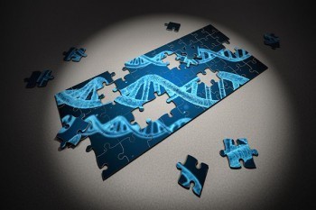 疾病保險(xiǎn)退保能退多少