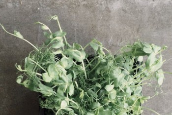 買的商業(yè)保險可以全額退款嗎