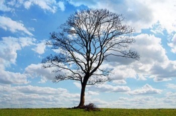 退休職工大病醫(yī)療保險(xiǎn)保費(fèi)一年是多少？報(bào)銷比例是什么？