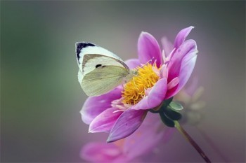 醫(yī)療保險(xiǎn)個(gè)人怎么買