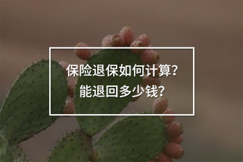 保險退保如何計算