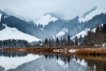 保險(xiǎn)終止后可以退多少錢