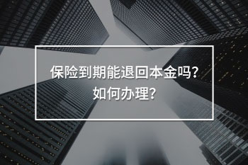 保險到期能退回本金嗎