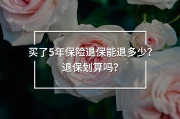 買了5年保險退保能退多少