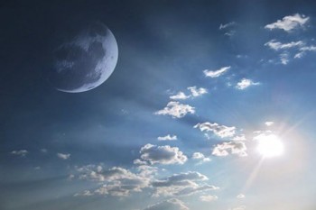 交了十年保險不交了還能退多少錢