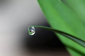 醫(yī)療保險(xiǎn)可以退保嗎