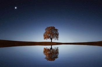 金彩明天兩全a分紅型保險(xiǎn)責(zé)任是什么？分紅怎么計(jì)算?