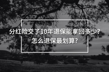 分紅險交了10年退保能拿回多少
