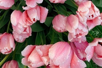 工傷保險(xiǎn)和商業(yè)保險(xiǎn)的區(qū)別