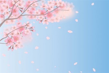 保險怎么樣退保？怎么樣退保比較劃算？