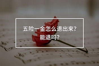 五險(xiǎn)一金怎么退出來(lái)？能退嗎？