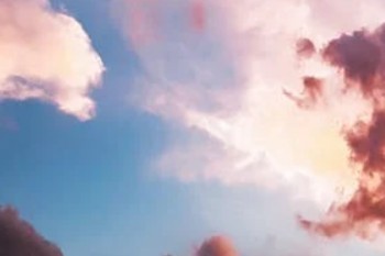 太平洋保險(xiǎn)手機(jī)上怎么退