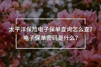 太平洋保險(xiǎn)電子保單查詢