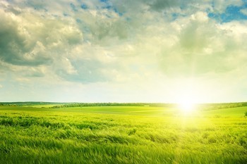 百萬任我行退保流程